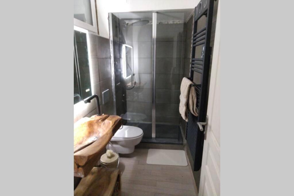 Chaleureux Petit Appartement De 4 Couchages Saint-Etienne-de-Tinee Ngoại thất bức ảnh